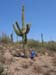 MichaelWithBigCactus